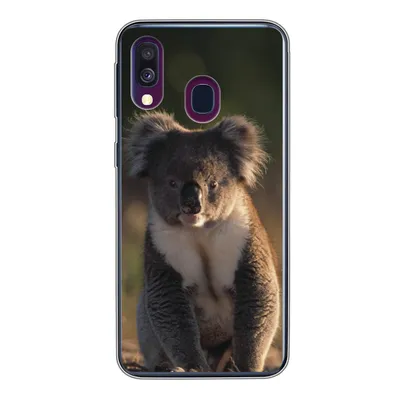 Produktbild von MuchoWow® Handyhülle Schutzhülle Hülle für Samsung Galaxy A40 Koala - Sonne - Tier - Kinder - Jungen - Mädchen Silikon Softcase Handy Hülle - Handy-Tasche