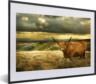 Produktbild von MuchoWow® MuchoWow® Gerahmtes Poster Schottische Hochlandrind - Licht - Natur 60x40 cm - Poster mit zchwarzem Bilderrahmen - Schlafzimmer - Plakat in Rahmen - Drucken