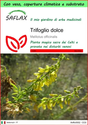 Immagine prodotto di SAFLAX Garden to go - Trifoglio dolce - 250 semi - Melilotus