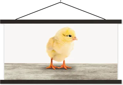 Produktbild von MuchoWow® Textilposter Küken - Tiere - Jungen - Mädchen - Kinder 60x30 cm mit schwarzem Rahmen - Textilien
