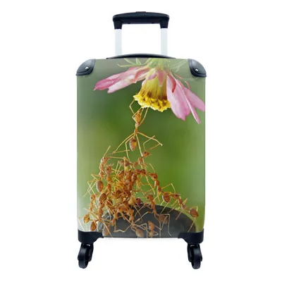 Produktbild von MuchoWow® Koffer Handgepäck Trolley Rollkoffer Kleine Reisekoffer mit 4 Rollen - Ameisen - Blume - Grün - Cabin Size < 55x40x23 cm & 55x40x20 cm - Fotokoffer - Kabinenkoffer - Boardgepäck - Reise-Box - Reisekoffer - Reisegepäck - Koffer mit Bild - Trolley für Kinder