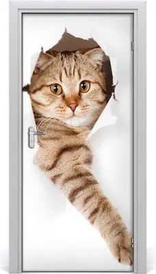 Produktbild von Tulup Türaufkleber 95x205 cm Dekorative Aufkleber Selbstklebend Wasserdichte Tapete Abnehmbar Schlafzimmer Wohnzimmer Wohnkultur - Katze Wand