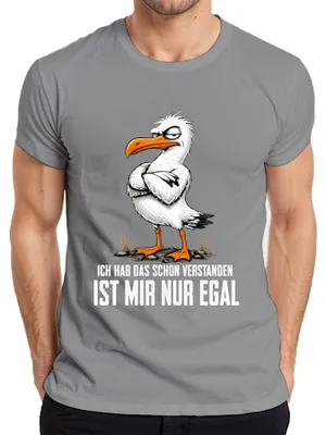Produktbild von Ich hab das schon verstanden ist mir nur egal Statement Sarkasmus Herren T-Shirt, Grau, M