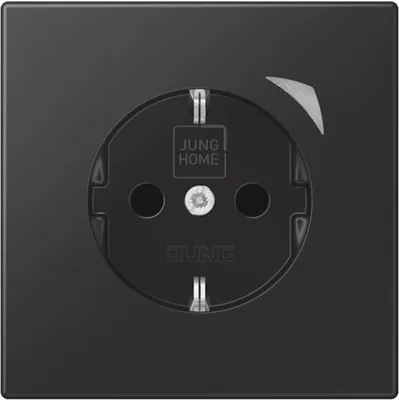 Immagine prodotto di Jung HOME SCHUKO BTLS1521SSWM Steckdose 1 (BTLS1521SSWM)