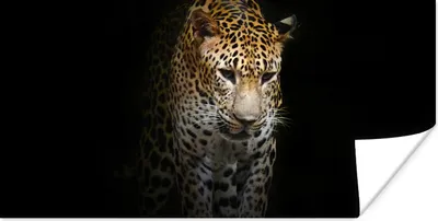 Produktbild von MuchoWow® Poster Leopard - Reflexion - Schwarz 40x20 cm