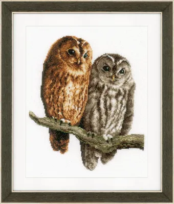 Two owls perched on a branch.