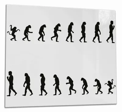 Produktbild von Wallario Herdabdeckplatte aus Glas, Größe 60 x 52 cm 1-teilig, Motiv Evolution - Die Entwicklung des Menschen