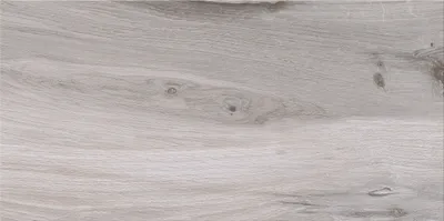 Produktbild von Steinzeug in Holzoptik hellgrau 30x60 cm Ashville
