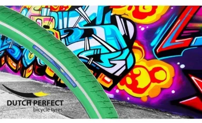 Immagine prodotto di Pneumatici Dutch Perfect 28 x 2,00" / 50-622 mm con protezione antiforatura - Verde con riflesso
