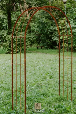 Image de Arc de cercle EMMA 120 cm rouille naturelle
