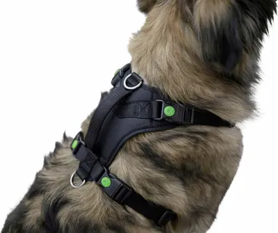 Obrázek produktu pro Postroj pro psy Pulsive, obvod krku 36 - 50 cm, černý, Kerbl