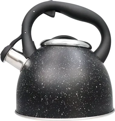 Immagine prodotto di Schäfer Bollitore a flute in acciaio inox da 2,5 l Bollitore per tutti i piani di cottura Nero