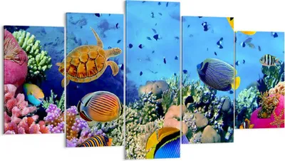 Produktbild von Bild auf Leinwand - Leinwandbild - Korallenriff - 160x85cm - Wand Bild - Wanddeko - Wandbilder - Leinwanddruck - Bilder - Kunstdruck - Wanddekoration - Leinwand bilder - Wandkunst - EA160x85-3569