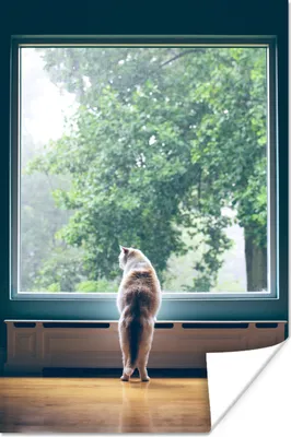 Produktbild von MuchoWow® Poster Katze - Fenster - Pflanzen 60x90 cm - Wanddekoration