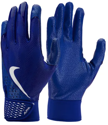 Image de Gants de Batting Nike Alpha Bleu