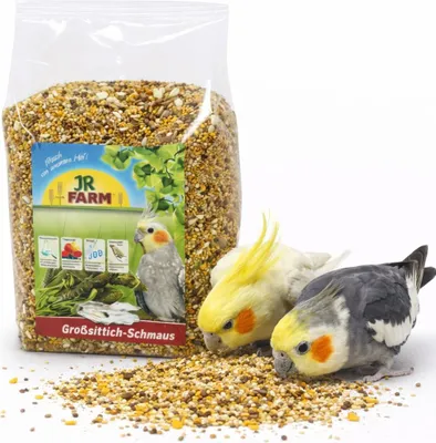 Zdjęcie produktu dla Jr Farm Big Parakeets - pokarm dla nimf i innych średnich papug - wzbogacony o muszle ostryg 1kg