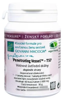 Image de Penetrating Vessel - T57 Giovanni Maciocia