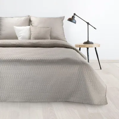 Obrázek produktu pro Celoroční přehoz BONI 3 stříbrný 220x240 cm cm světle šedý
