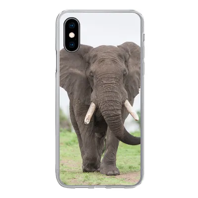 Produktbild von MuchoWow® Handyhülle Schutzhülle Hülle für iPhone X Elefant - Tiere - Gras - Natur Silikon Softcase Handy Hülle - Handyhülle