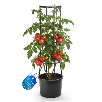 Produktbild von BigDean Tomatentopf mit Rankhilfe XL