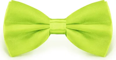 Produktbild von Fliege Hellgrün Größe verstellbar aus Polyester einfarbig uni schmale 12 cm