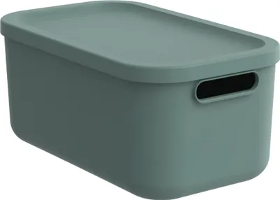 Immagine prodotto di Scatola Rotho decorazione Albula Light 12 L impilabile verde