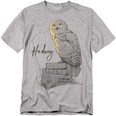 Productafbeelding van Harry Potter - T-shirt voor heren/dames, uni model, TV43080 (3XL) (Sport Heide)