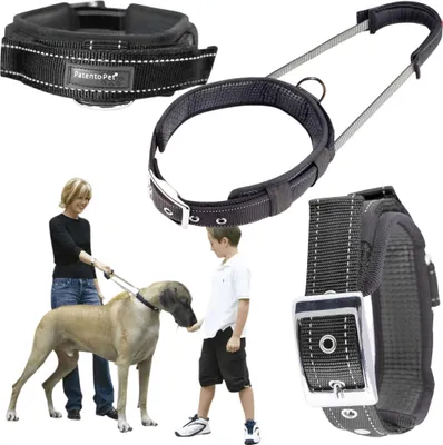 Produktbild von Hundetrainingshalsband mit Griff und kurzer Leine
