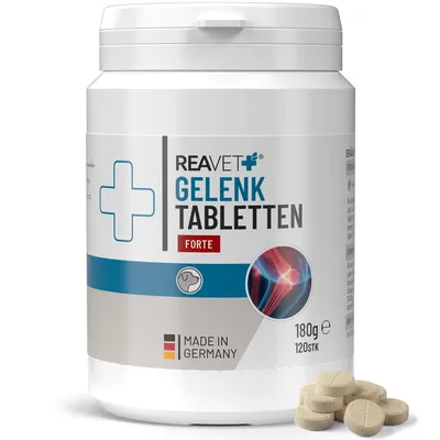 Produktbild von REAVET Gelenktabletten Hund - 120 Stück für 8 Monate - Gelenk-Tabletten für Hunde mit Grünlippmuschel, MSM & Teufelskralle I Für mehr Bewegungsfreude