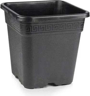 A black square plant pot with a decorative border.
