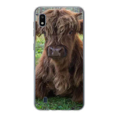 Produktbild von MuchoWow® Handyhülle Schutzhülle Hülle für Samsung Galaxy A10 Schottischer Highlander - Kröte - Tiere Silikon Softcase Handy Hülle - Schutzhülle