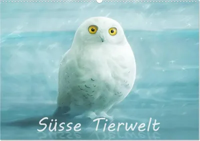 Produktbild von Süsse Tierwelt / Geburtstagskalender (Wandkalender 2025 DIN A2 quer), CALVENDO Monatskalender
