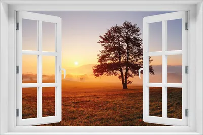 Produktbild von Wallario Poster mit Fenster-Illusion: Sonnenaufgang über der Wiese mit Nebel, Größe: 61 x 91,5 cm (Maxiposter)