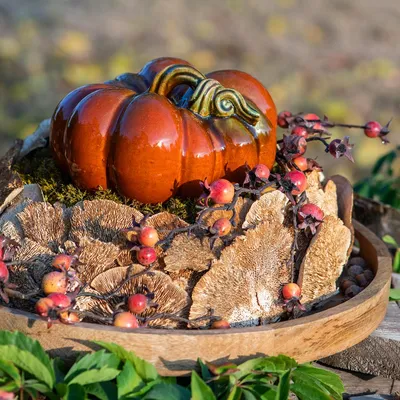 Produktbild von Natürliche Deko Baumschwamm getrocknet 1kg für Herbstdeko
