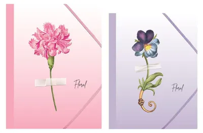 Obrázek produktu pro Složka s gumičkou A4 Floral Spree Koh-i-noor