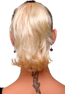 Produktbild von WIG ME UP Haarteil Hellblond-Mix kurz wild Modell: T6545