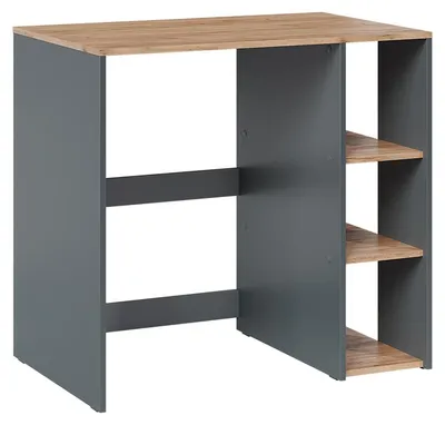 Image de Armoire machine à laver Vicco Viktor Anthracite/Chêne de force doré 93.6x88.2cm avec 2 étagères, Model 60593