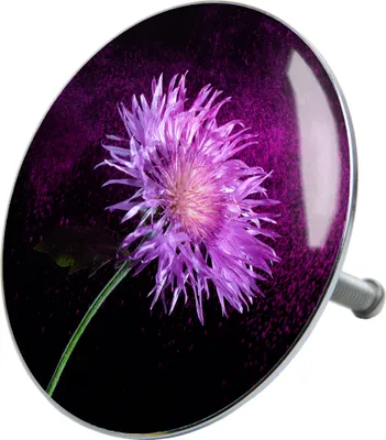 Produktbild von SANILO® Badewannenstöpsel, Purple Dust