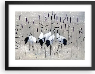Produktbild von Gerahmtes Poster - Schwarzer Rahmen - Vogel Natur Wasser - 40x30 cm - Wand Bild - Wanddeko - Wandbilder - Kunstposter - Wandposter - Bilderrahmen - Bilder - Kunstdruck - Wandbild - P2BAA40x30-3687