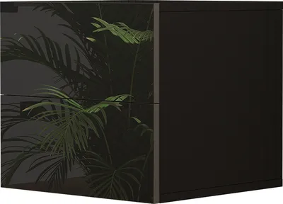 A black cabinet with a tropical plant design on the left side and a solid black side on the right.