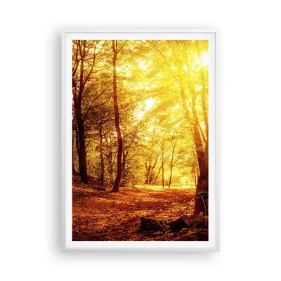 Produktbild von Gerahmtes Poster - Weißer Rahmen - Wald Baum Natur - 70x100 cm - Wand Bild - Wanddeko - Wandbilder - Kunstposter - Wandposter - Bilderrahmen - Bilder - Kunstdruck - Wandbild - P2WPA70x100-3722