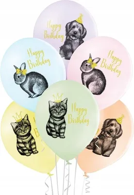 Obrázok produktu pre Happy Birthday Tierballons 12"" 6 Stk.