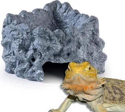 Image de Décoration pour terrarium Exo Terra Wetrock, moyen