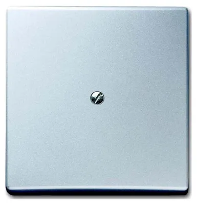 Image de Busch-Jaeger Disque central aveugle alusil avec anneau de support 2138-33