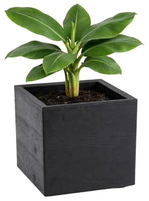 Image de HowHomely | Pot de fleurs - bac à fleurs - noir - 30 x 30 x 30 cm - pot de fleurs sur roulettes - aspect bois - décoratif