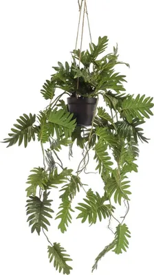 Produktbild von artplants.de Kunstpflanze Philodendron Selloum Blumenampel URCO, Kunstpflanzetopf, 80cm - Deko Philodendron