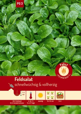 Artikelbild 1 von 'Feldsalat Volhart' aus der Kategorie Feldsalatsamen