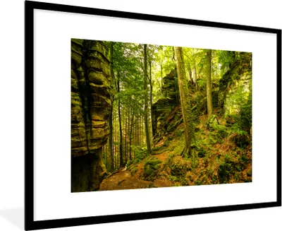 Produktbild von MuchoWow® Gerahmtes Poster Bäume - Stein - Wald - Natur - Pflanzen 90x60 cm - Poster mit Schwarzem Bilderrahmen Wandposter Rahmen Foto Bilder - Wanddekoration - Fotos