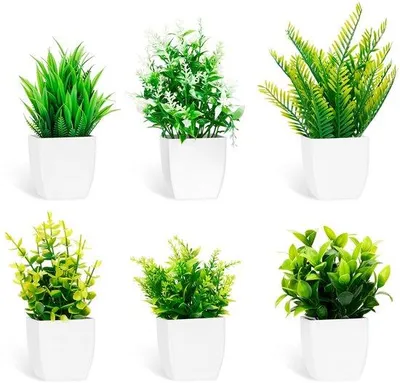 Image de Lot de 6 plantes artificielles, petites plantes artificielles en pot, décoration d'intérieur, plantes d'intérieur, fleurs artificielles