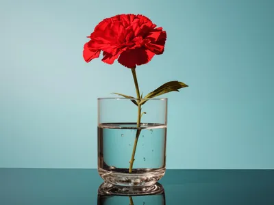 Produktbild von Plakat 40x30cm Blume im Glas
